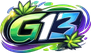 g13